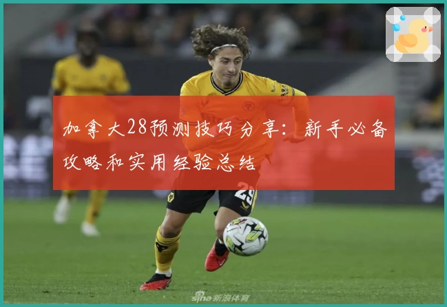 加拿大28预测技巧分享：新手必备攻略和实用经验总结