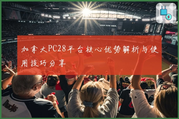 加拿大PC28平台核心优势解析与使用技巧分享