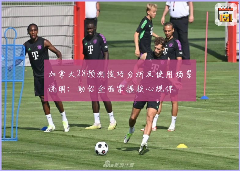 加拿大28预测技巧分析及使用场景说明：助你全面掌握核心规律