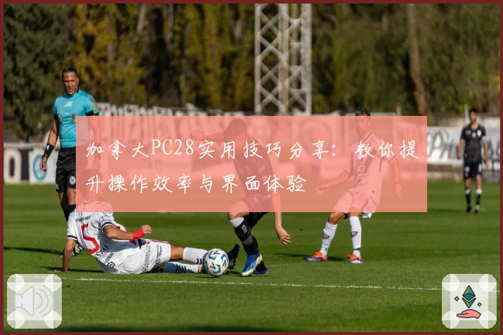 加拿大PC28实用技巧分享：教你提升操作效率与界面体验