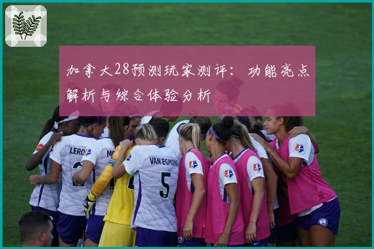 加拿大28预测玩家测评：功能亮点解析与综合体验分析