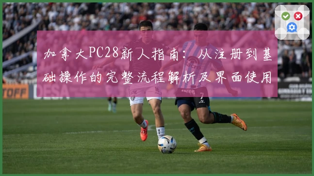 加拿大PC28新人指南：从注册到基础操作的完整流程解析及界面使用技巧分享