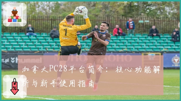 加拿大PC28平台简介：核心功能解析与新手使用指南