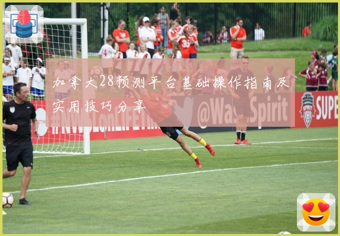 加拿大28预测平台基础操作指南及实用技巧分享