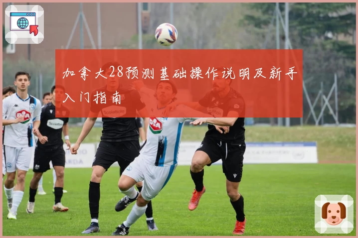 加拿大28预测基础操作说明及新手入门指南