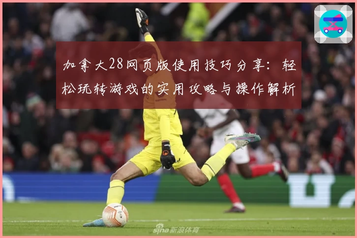 加拿大28网页版使用技巧分享：轻松玩转游戏的实用攻略与操作解析