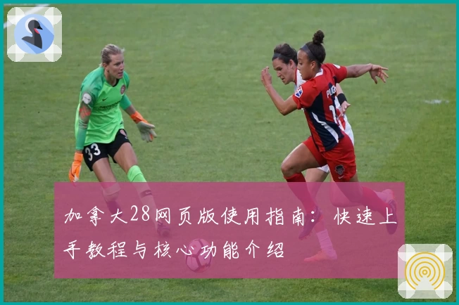 加拿大28网页版使用指南：快速上手教程与核心功能介绍